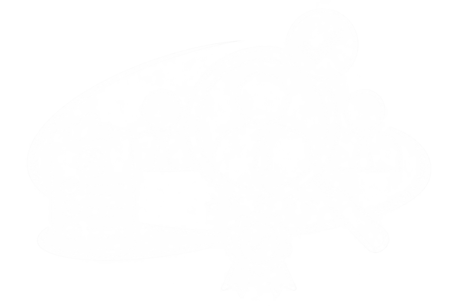 mn2