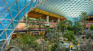 Deployed 300+ candidate inQatar Airport